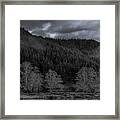 Study In Light And Texture Framed Print