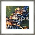 Ducks On A Log Framed Print