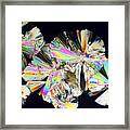 Sugar Crystals Micrograph In Abstract Pattern Framed Print