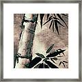 Sumi-e Bamboo 10 Framed Print