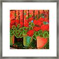 Summer Blooms Framed Print