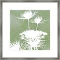 Summer Lace Silhouette Framed Print
