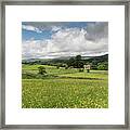 Summer Meadows, Yorkshire Dales,england, Uk Framed Print