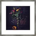 Summer Still Life Framed Print