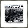 Sun On The Hills Framed Print