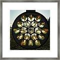 Sun Through Rocket Launcher Framed Print