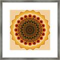 Sunflower Mandala #1 - Kaleidoscopic View Of Sunflower Framed Print