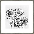 Sunflower Sketch Framed Print