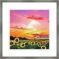 Sunflower Sunset Iii Framed Print