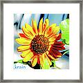 Sunflowers For Ukrain Day 8 Framed Print