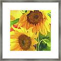 Sunflowers For Ukraine Framed Print