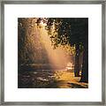 Sunlight On Jordan Creek Framed Print
