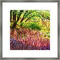 Sunny Morning In The Park Framed Print