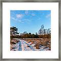 Sunny Winter Path Framed Print