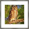 Sunrise Owl Framed Print