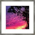 Sunset Behind A Tree Framed Print