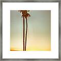 Sunset Goodbye From Mission Bay Park San Diego California Framed Print