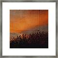 Sunset Light Framed Print