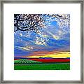 Sunset On Tulip Fields Framed Print