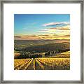 Sunset Over The Vineyards Of Radda In Chianti Framed Print