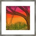 Sunset Path And Trees Framed Print