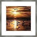 Sunset Seagull Party Framed Print