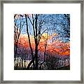 Sunset Through The Woods Framed Print