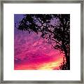 Sunset With A Tree Framed Print