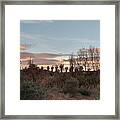 Sunset With Trees In Torremolinos Framed Print