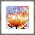 Sunshine Lotus Framed Print
