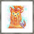 Surprised Yorkie Framed Print