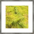 Swamp Grass Lines Framed Print