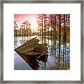 Swamp Monster Framed Print