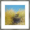 Sweeping, Golden And Bright Framed Print