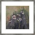 Sweet Grass And Daisies Framed Print