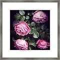 Sweet Roses Framed Print