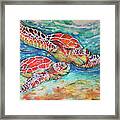 Splendid Sea Turtles Framed Print