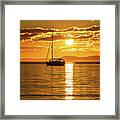 Swinging On The Hook Framed Print