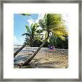 Swinging Under The Palm Trees, Loiza, Puerto Rico Framed Print