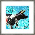 Swiss Cow Collection Nr1 Framed Print
