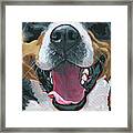 Swissie Mask Framed Print