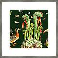 Symphony For Duck Toucan And Butterflies Framed Print