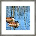 Synchronized Geese Framed Print