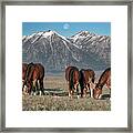 _t__1256 Framed Print