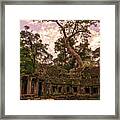 Ta Phrom Massive Tree Framed Print