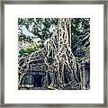 Ta Prohm Framed Print