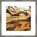 Tabled At Driftwood Beach Framed Print