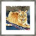 Taffy Orange Tabby Cat Painting Framed Print