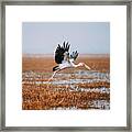 Take Off Framed Print