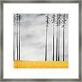 Tall Trees Ii Framed Print